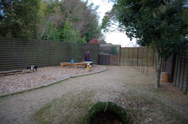 c0357659_14451810.jpg