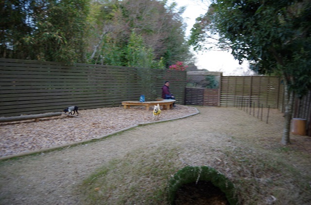 c0357659_14453658.jpg