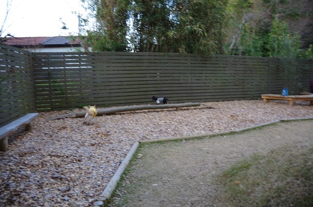 c0357659_14460855.jpg
