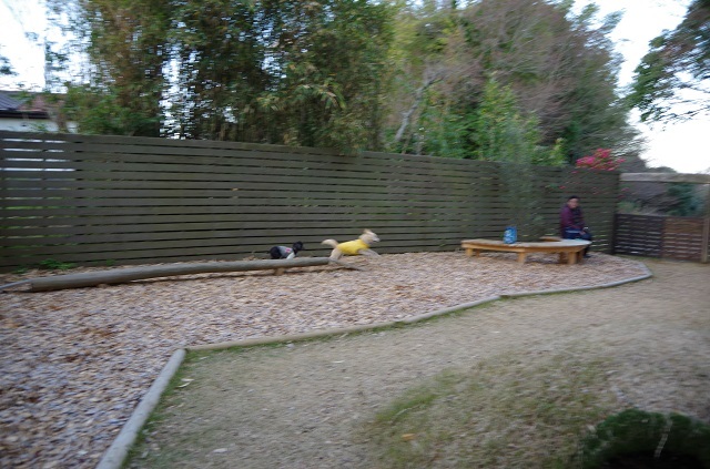 c0357659_14465795.jpg