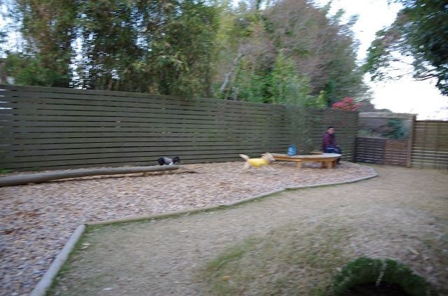 c0357659_14472051.jpg