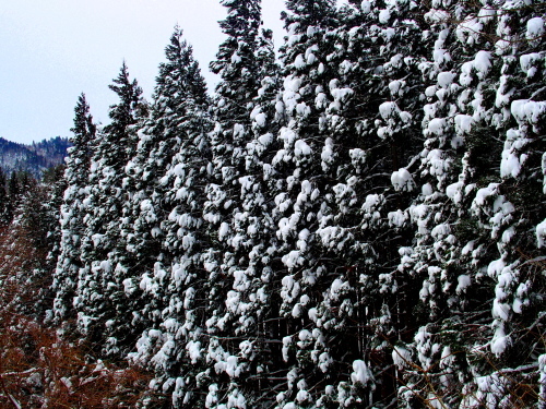 f0327061_21525181.jpg