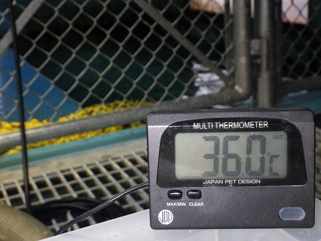 c0105569_01040889.jpg