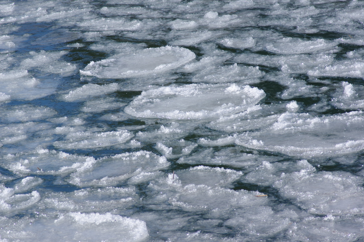 b0301570_08060177.jpg