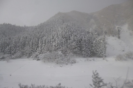 c0138070_12535661.jpg