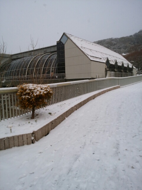 f0200871_0541184.jpg