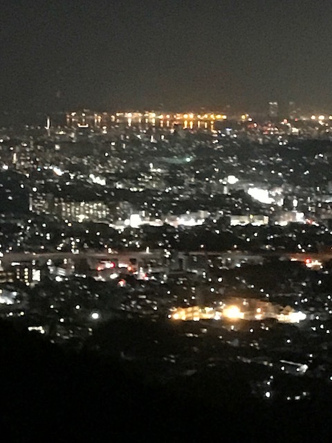 夜景といのしし_e0365874_22580274.jpg