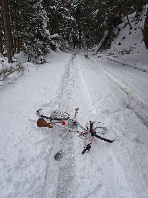 リベンジしに、ま〜た北山へ行ってみた。_c0107075_18545760.jpg