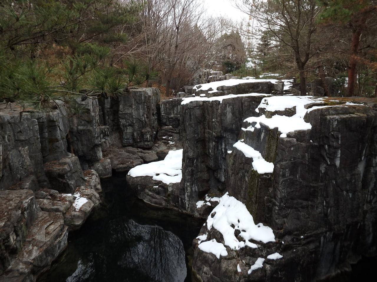 『今日の木曽川水園風景･････』_d0054276_1992637.jpg