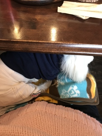 b0193480_15195754.jpeg