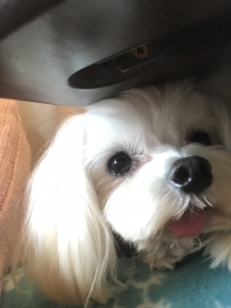 b0193480_15201376.jpeg