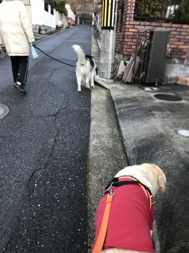 f0315081_18103880.jpeg