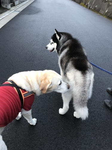 f0315081_18124155.jpeg