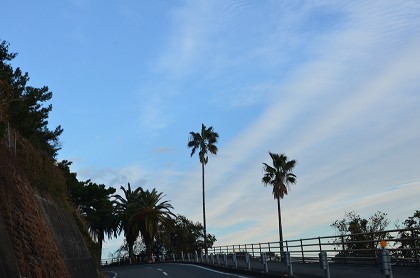 c0229483_044177.jpg