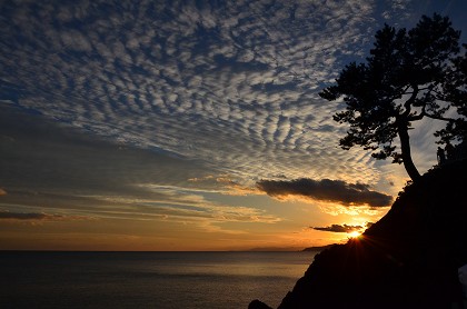 高知市　桂浜・龍王宮_c0229483_057482.jpg