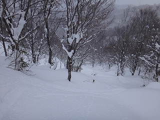 荘川の火山1379m新雪滑降_e0064783_21090120.jpg