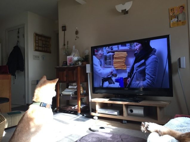 c0332184_21505968.jpeg