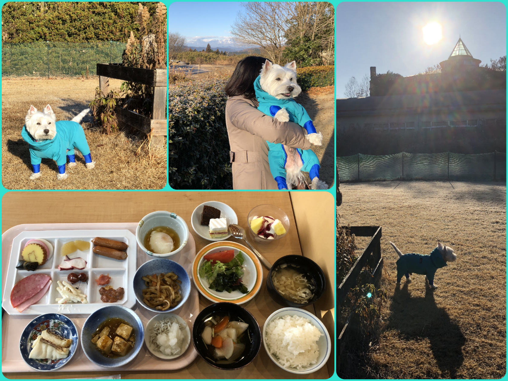 喜連川温泉で初日の出　＞＞＞　2018/1/1（祝）_e0110888_14361119.jpg