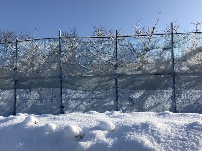 a0027290_22113010.jpeg
