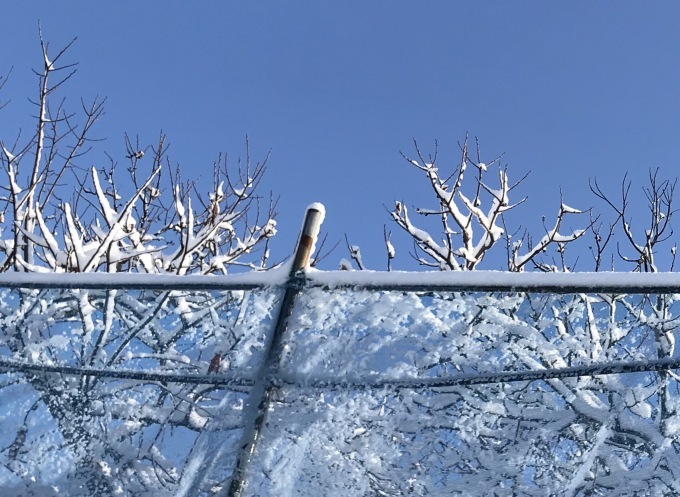 a0027290_22115554.jpeg