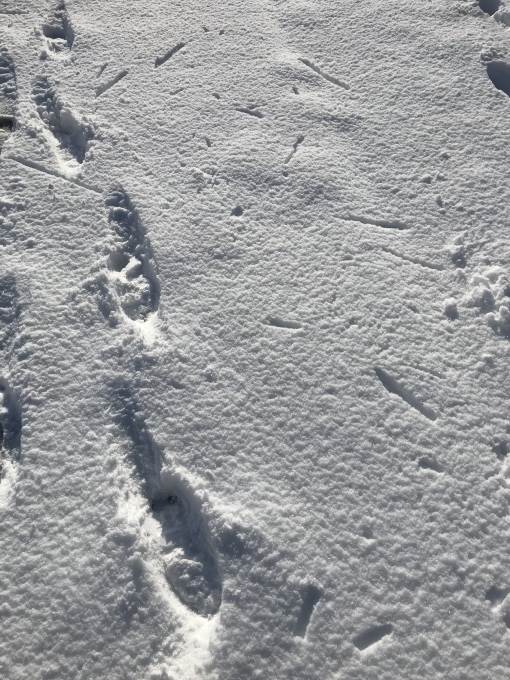 a0027290_22135712.jpeg