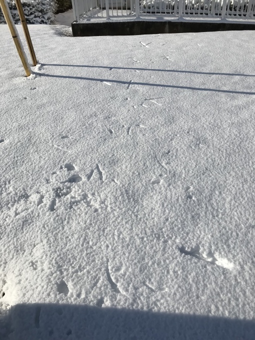 a0027290_22141482.jpeg