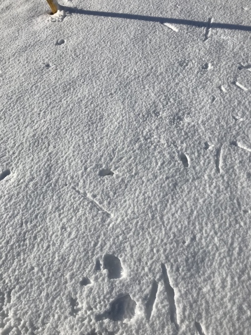 a0027290_22143820.jpeg