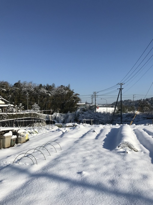 a0027290_22401899.jpeg