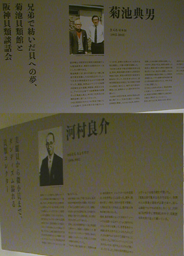 ●『ニッポン貝人列伝 時代をつくった貝コレクション』_d0053294_00352953.jpg