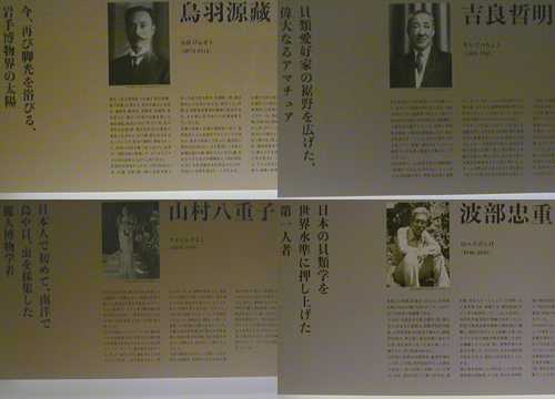 ●『ニッポン貝人列伝 時代をつくった貝コレクション』_d0053294_00365563.jpg
