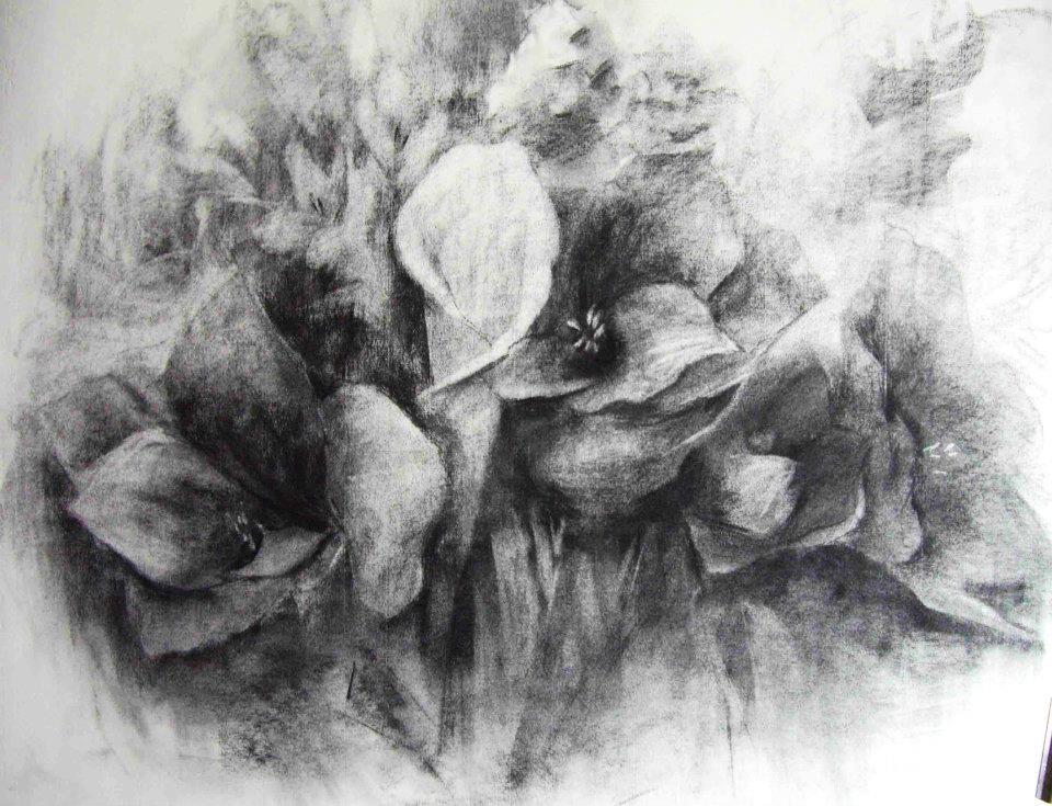 昔描いた木炭・ミクストです。 : 小林啓子水彩画の部屋