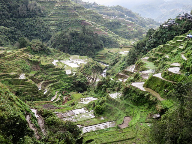 f0346196_15233799.jpg
