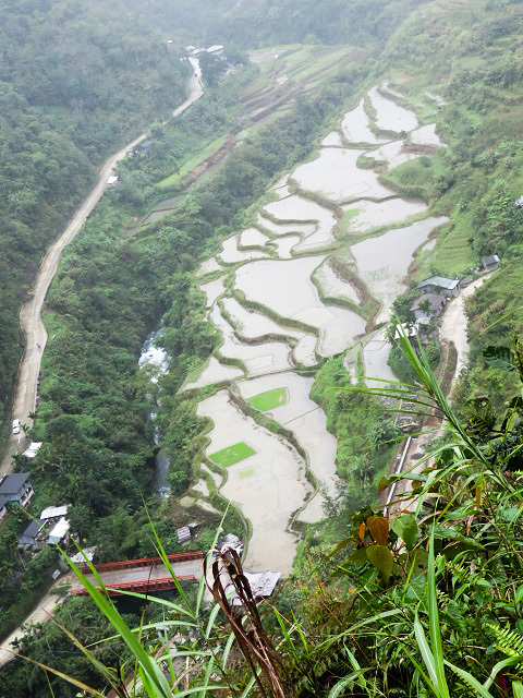 f0346196_15234409.jpg