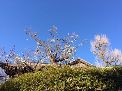 c0090198_20503850.jpg
