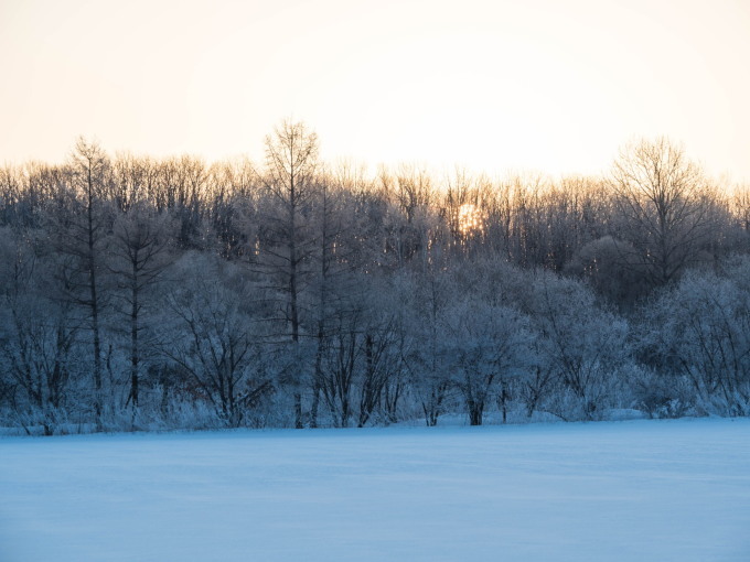 十勝の冬の幻想的な風景～さらべつの霧氷が見頃を迎えています～_f0276498_21020651.jpg