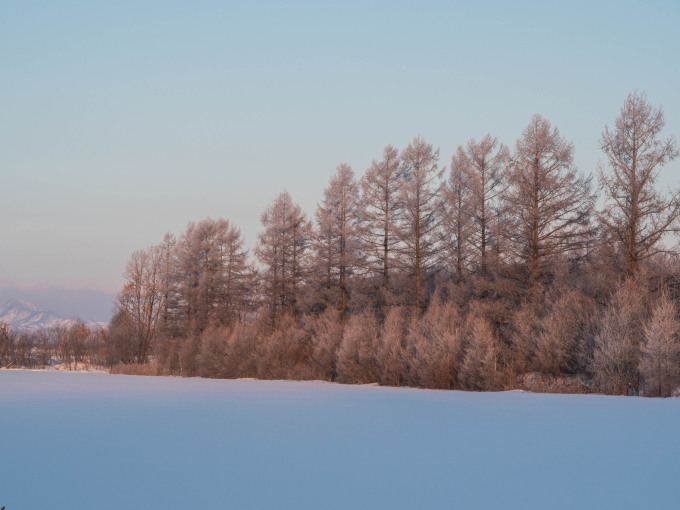十勝の冬の幻想的な風景～さらべつの霧氷が見頃を迎えています～_f0276498_21040766.jpg