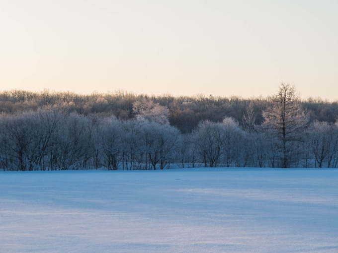 十勝の冬の幻想的な風景～さらべつの霧氷が見頃を迎えています～_f0276498_21065234.jpg