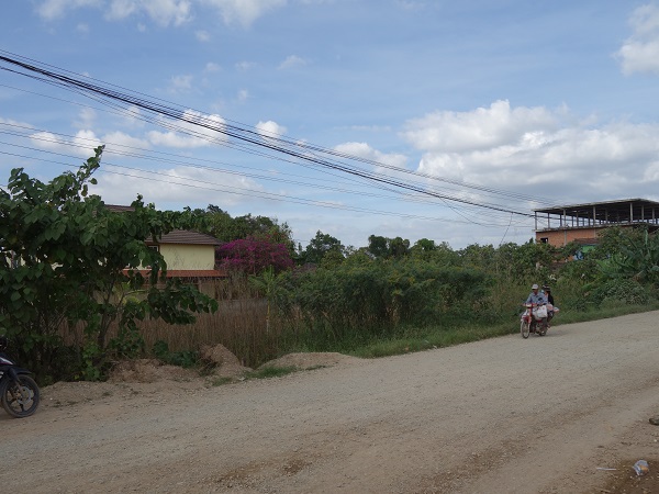 d0360509_2325632.jpg