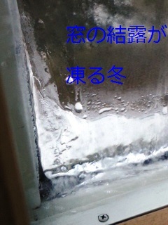 b0200310_11010334.jpg