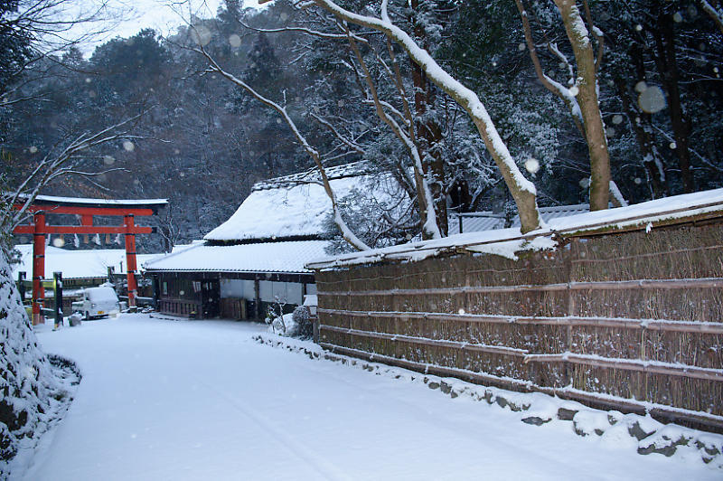 京都の雪景色2018@嵯峨野路 其の一 _f0032011_20481518.jpg