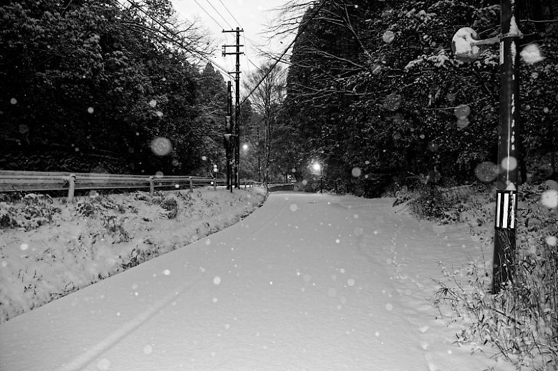 京都の雪景色2018@嵯峨野路 其の一 _f0032011_20481612.jpg