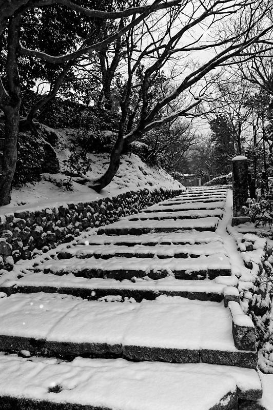 京都の雪景色2018@嵯峨野路 其の一 _f0032011_20501583.jpg