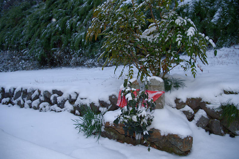 京都の雪景色2018@嵯峨野路 其の一 _f0032011_20501676.jpg