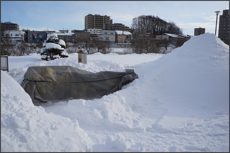 札幌の降雪量　だいたい平年並み_b0019313_14085053.jpg