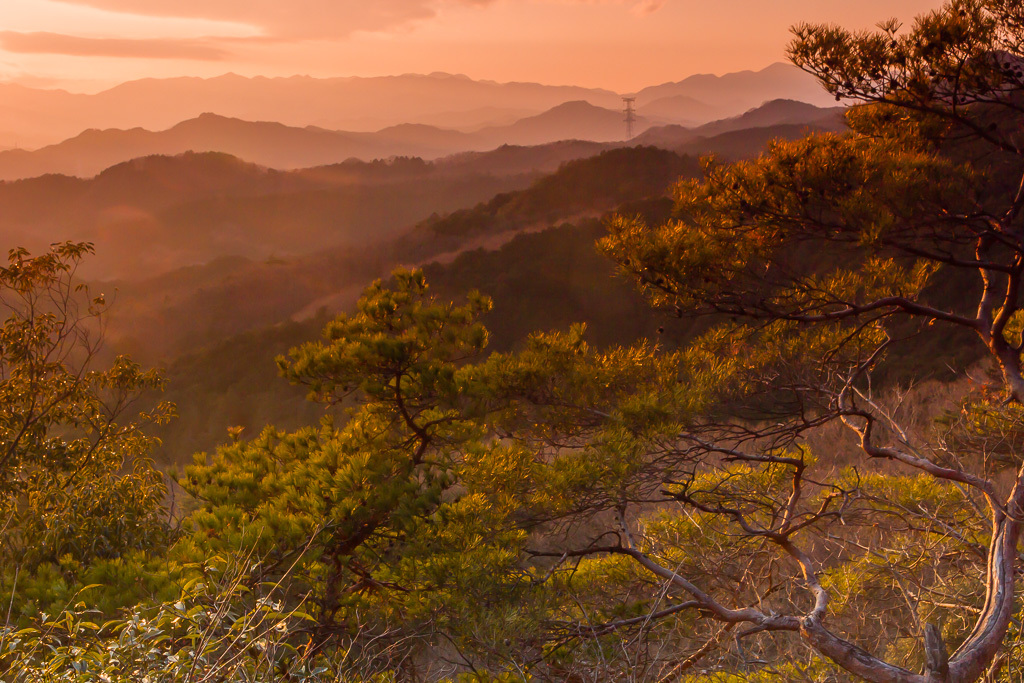 夕暮の日和田山へ_b0010915_20274528.jpg