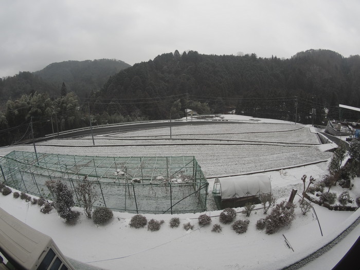 またまた、今朝も雪景色_c0116915_00022410.jpg