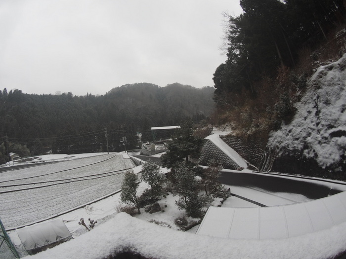 またまた、今朝も雪景色_c0116915_00023755.jpg