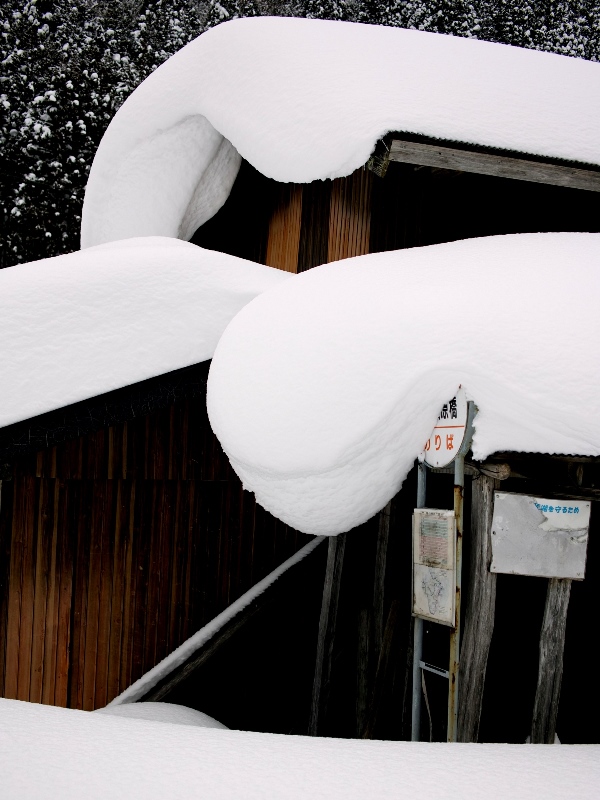 現在の積雪62㎝、雪の朝に・・・・朽木小川・気象台より_c0044819_8574624.jpg