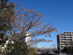 f0000521_17360866.jpg