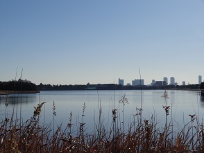 f0000521_17410962.jpg